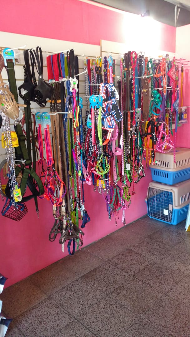 Accesorios y Juguetes