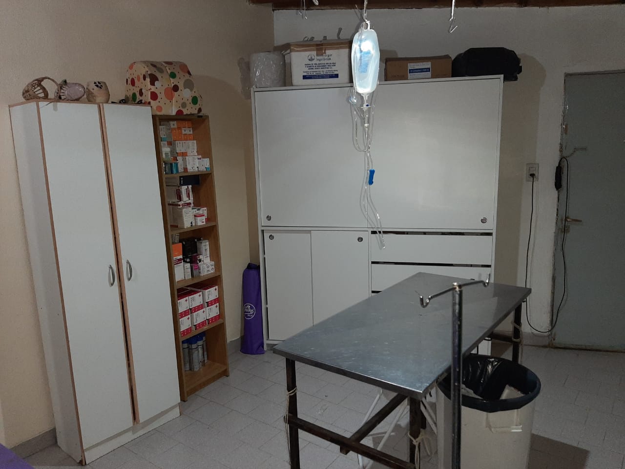 Cirugia Veterinaria
